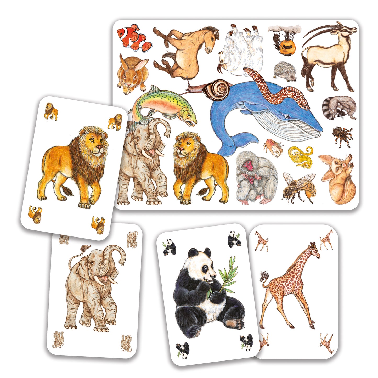 Djeco Zanimatch matching game