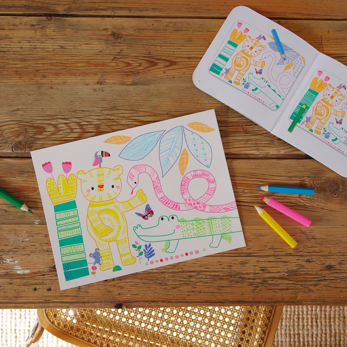 Djeco Activity Set